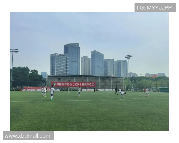 武汉足球队比赛经验变革引发热议推动地方足球发展新机遇