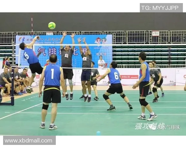 重庆排球队快攻战术解析与训练方法深度剖析 重庆排球队快攻战术解析与训练方法深度剖析