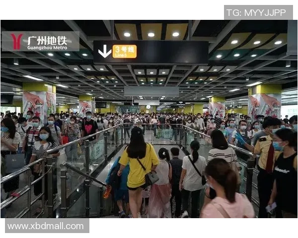 专业解读：广州排球队的运营打法