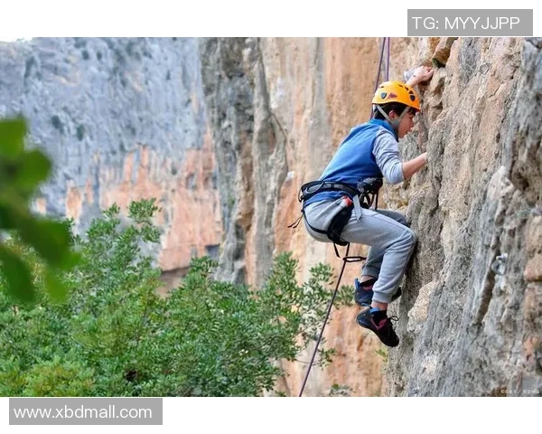 2026攀岩实力排行榜：成都攀岩队位居第1名