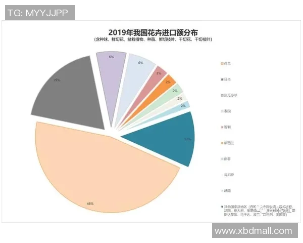 独家分析:广州排球队的状态对比 独家分析:广州排球队的状态对比